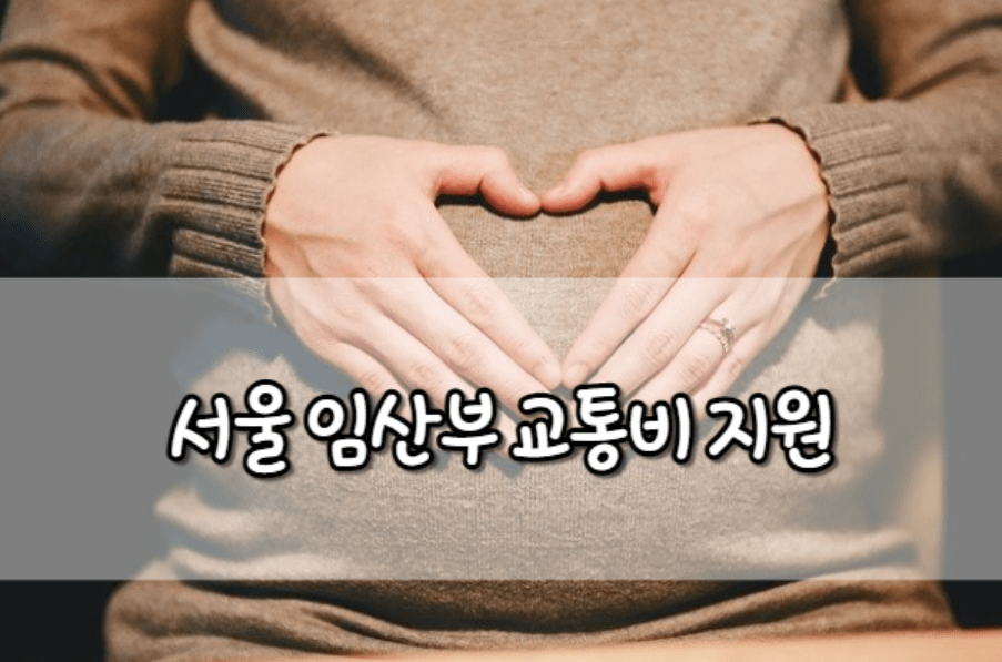 서울 임산부 교통비 지원