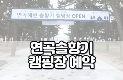 연곡 솔향기 캠핑장 예약