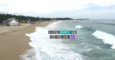 연곡 솔향기 캠핑장 예약