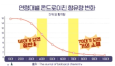 콘드로이친 많은 음식