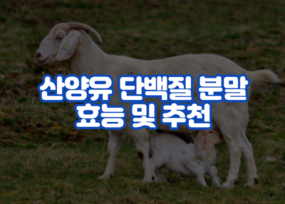 산양유 단백질 분말 효능 및 추천
