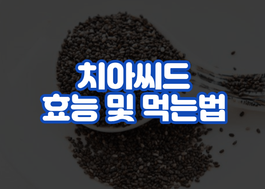 치아씨드 효능 및 먹는법