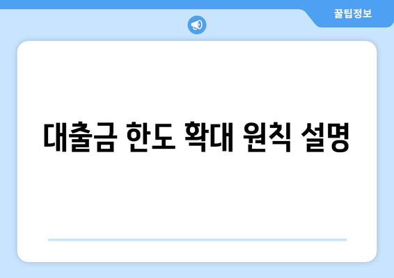 대출금 한도 확대 원칙 설명