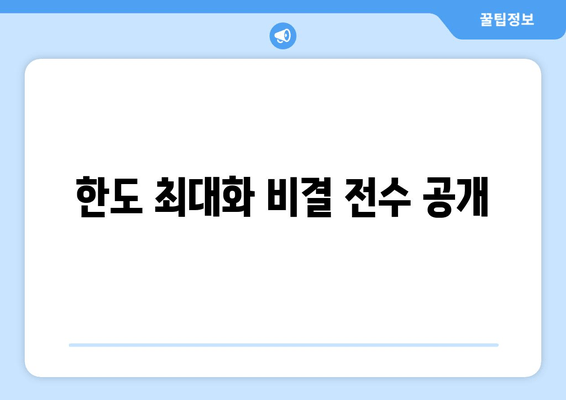 한도 최대화 비결 전수 공개