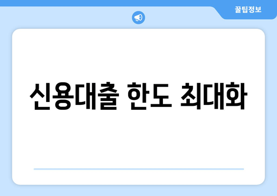 신용대출 한도 최대화