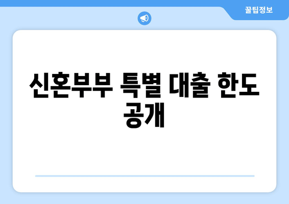 신혼부부 특별 대출 한도 공개