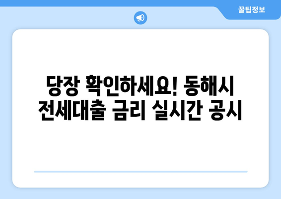 당장 확인하세요! 동해시 전세대출 금리 실시간 공시