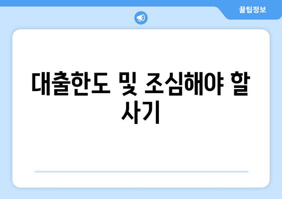 대출한도 및 조심해야 할 사기