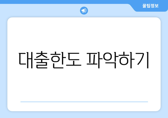 대출한도 파악하기