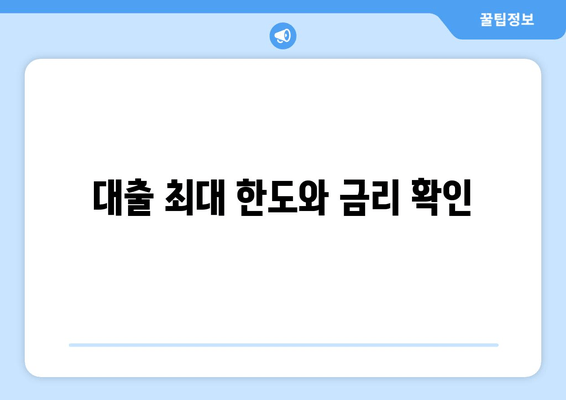 대출 최대 한도와 금리 확인