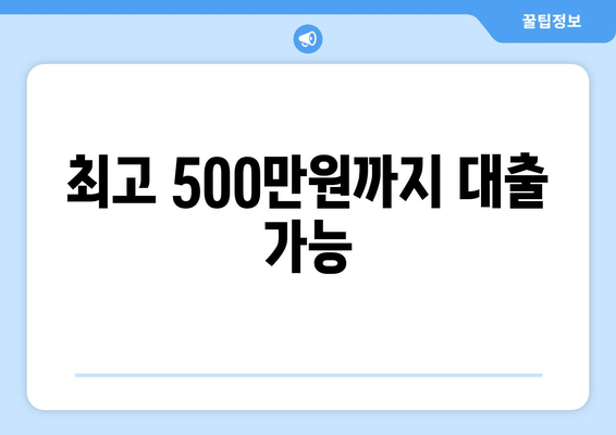 최고 500만원까지 대출 가능