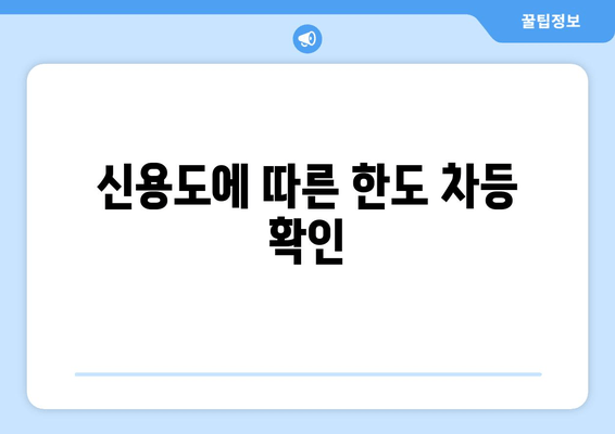 신용도에 따른 한도 차등 확인