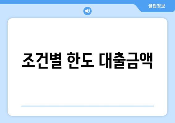 조건별 한도 대출금액