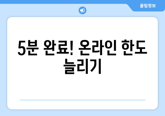 5분 완료! 온라인 한도 늘리기