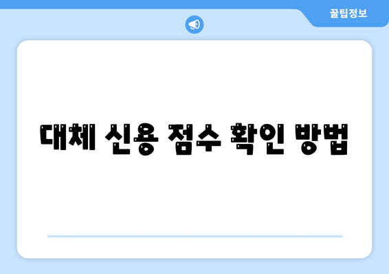 대체 신용 점수 확인 방법