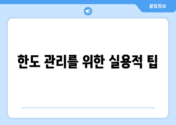 한도 관리를 위한 실용적 팁