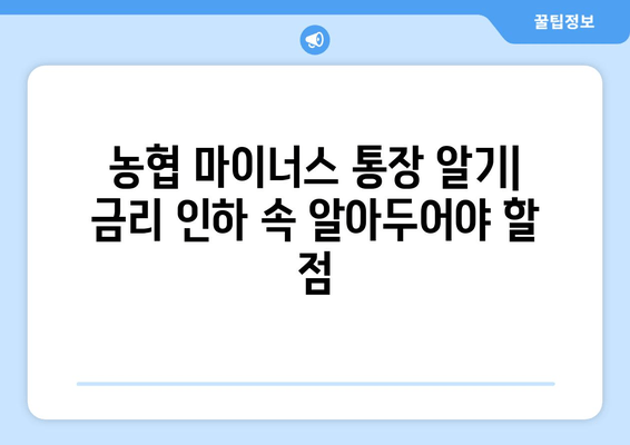 농협 마이너스 통장 알기| 금리 인하 속 알아두어야 할 점