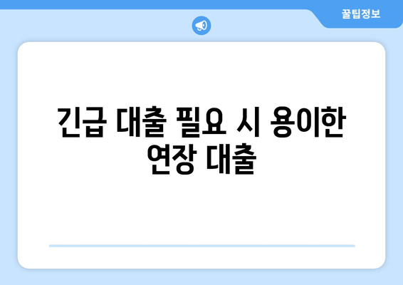 긴급 대출 필요 시 용이한 연장 대출