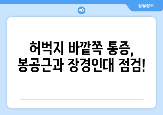 허벅지 통증 부위별 원인| 어디가 아픈지에 따라 달라지는 진단! | 허벅지, 통증, 원인, 진단, 치료, 운동