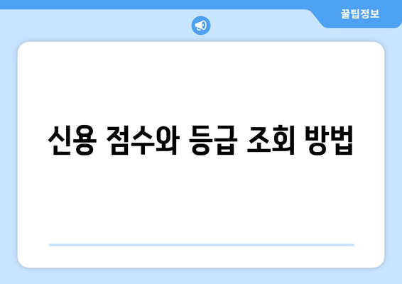 신용 점수와 등급 조회 방법
