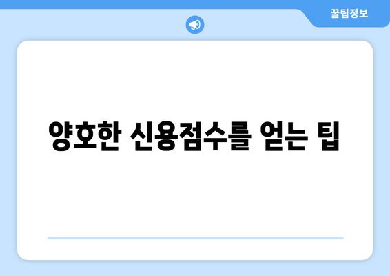 양호한 신용점수를 얻는 팁