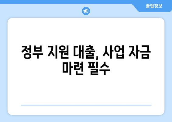 정부 지원 대출, 사업 자금 마련 필수