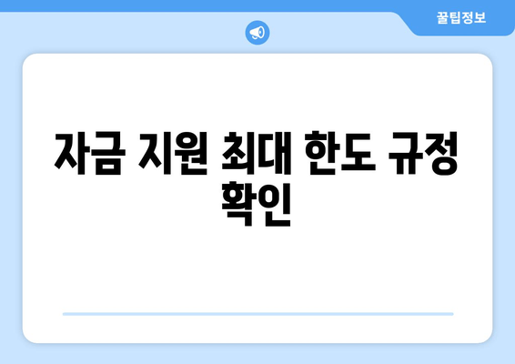 자금 지원 최대 한도 규정 확인