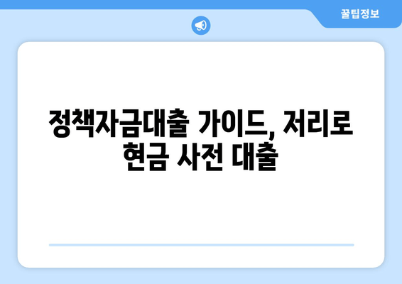 정책자금대출 가이드, 저리로 현금 사전 대출