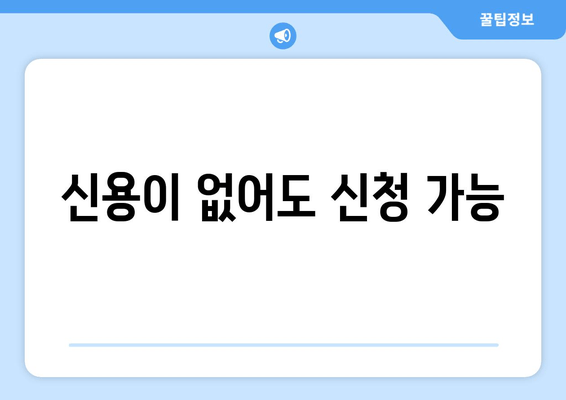 신용이 없어도 신청 가능