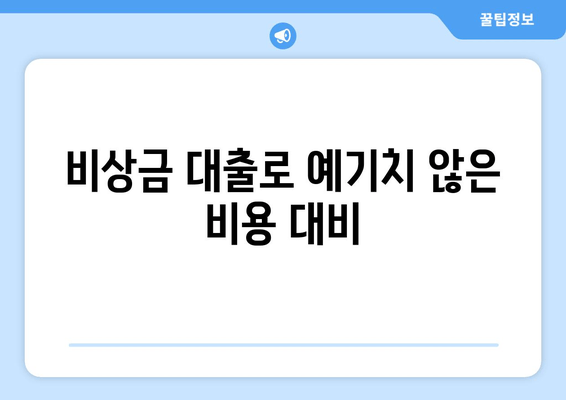 비상금 대출로 예기치 않은 비용 대비