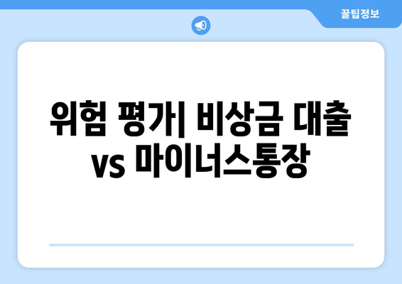 위험 평가| 비상금 대출 vs 마이너스통장