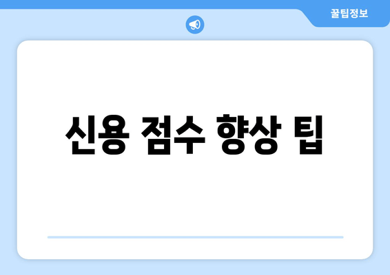 신용 점수 향상 팁