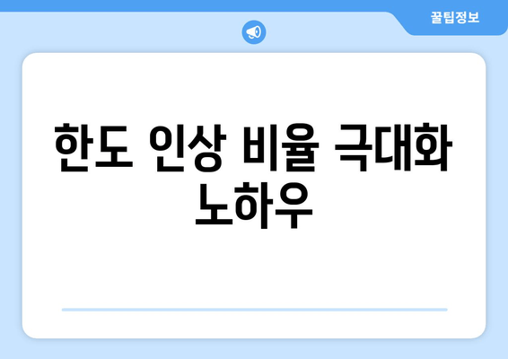 한도 인상 비율 극대화 노하우