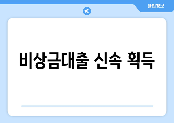 비상금대출 신속 획득