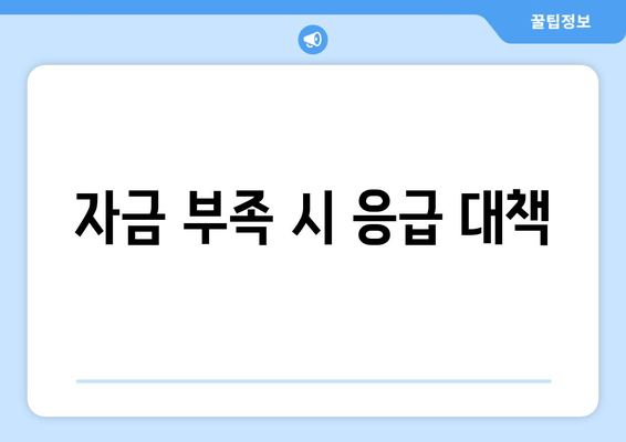 자금 부족 시 응급 대책