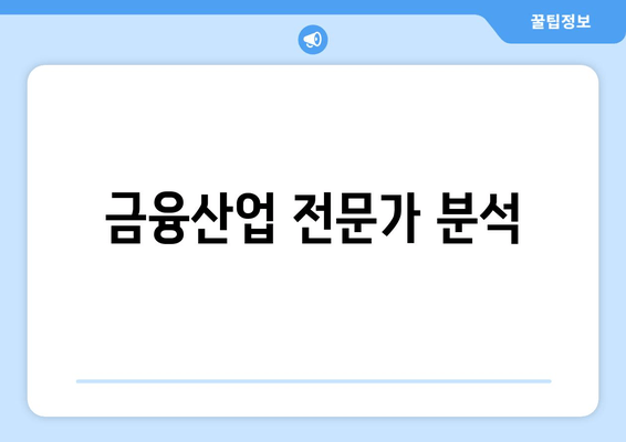 금융산업 전문가 분석