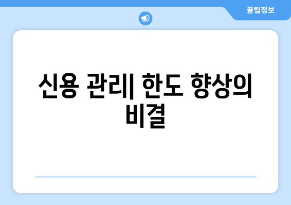 신용 관리| 한도 향상의 비결