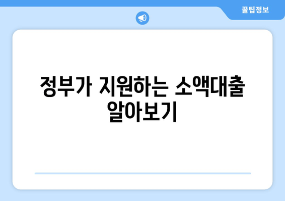 정부가 지원하는 소액대출 알아보기