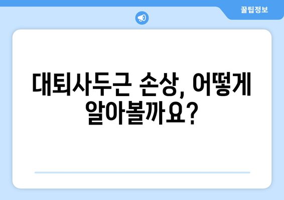 갑작스러운 허벅지 통증, 대퇴사두근 손상 의심! | 증상, 원인, 치료 및 예방 가이드