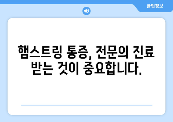 허벅지 햄스트링 통증, 파열 증상 완벽 해결! 효과적인 치료 및 예방 가이드 | 햄스트링 통증, 근육 파열, 스트레칭, 운동