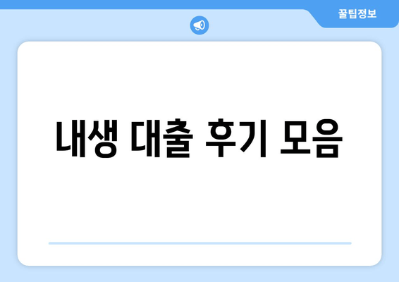 내생 대출 후기 모음