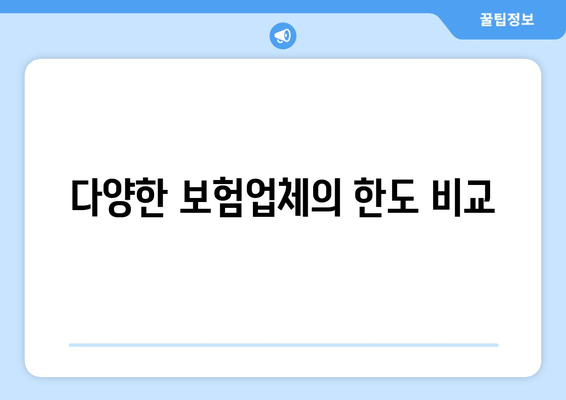 다양한 보험업체의 한도 비교