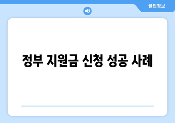 정부 지원금 신청 성공 사례