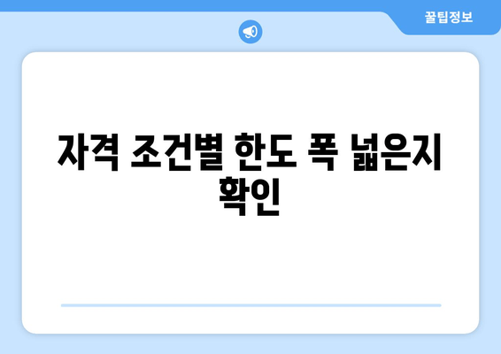 자격 조건별 한도 폭 넓은지 확인