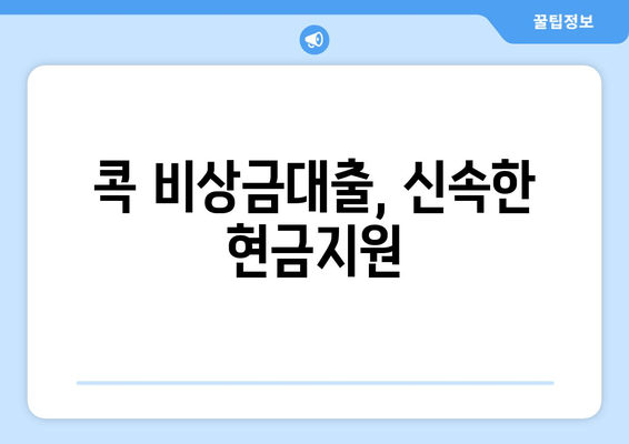 콕 비상금대출, 신속한 현금지원