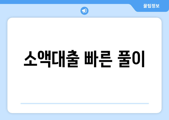 소액대출 빠른 풀이