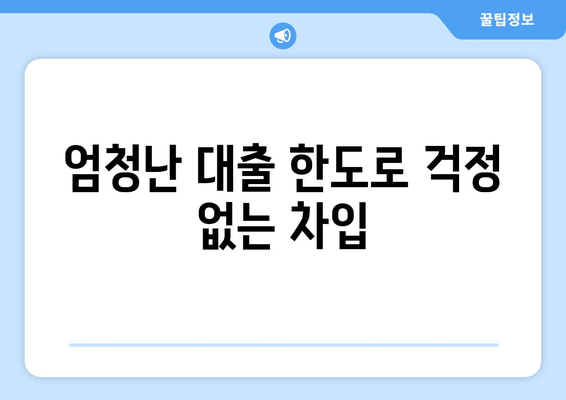 엄청난 대출 한도로 걱정 없는 차입