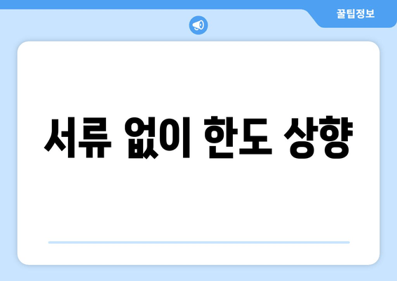 서류 없이 한도 상향