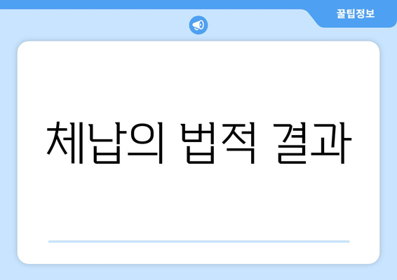 체납의 법적 결과