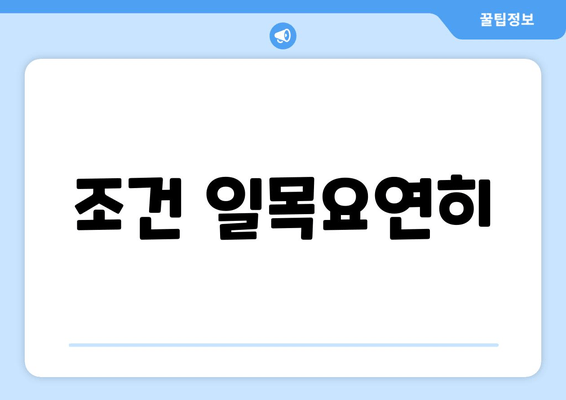 조건 일목요연히